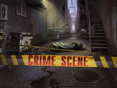 enarmad bandit crime scene