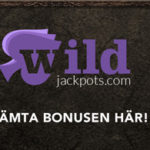 wild jackpots bonus